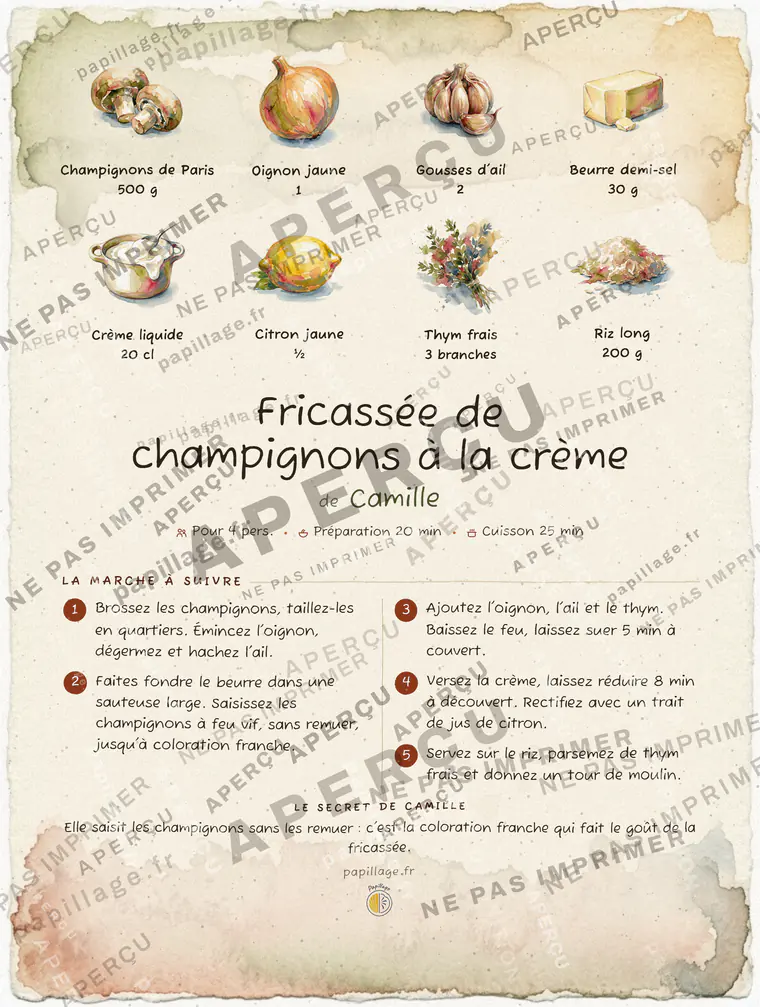 Fricassée de champignons à la crème en aquarelle, mise en page bandeau haut